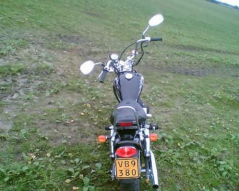 Regal Raptor "SOLGT" billede 7