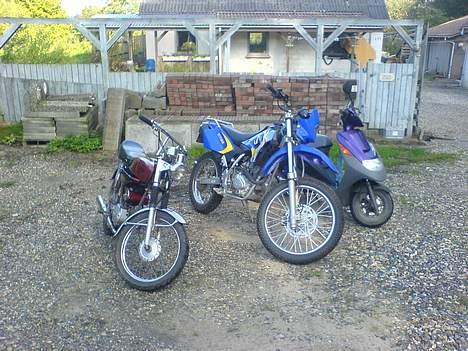 Suzuki Adress AP50 (Solgt) - Gruppe Billede billede 11