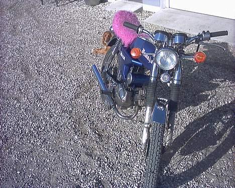 Yamaha 4 g Drejeventil Solgt billede 11