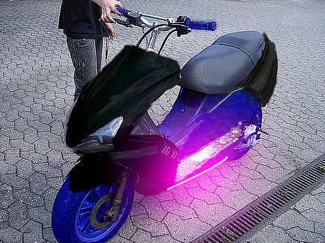 Benelli 491 / EvoNelli - Tak igen til Steven ! :-D  billede 2