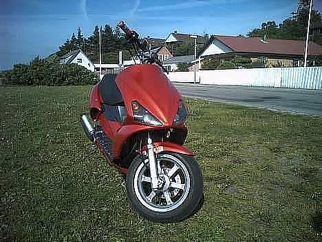 Benelli 491 / EvoNelli billede 3