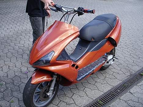 Benelli 491 / EvoNelli billede 4