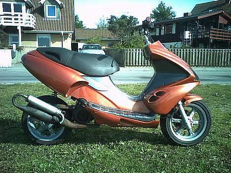Benelli 491 / EvoNelli billede 5