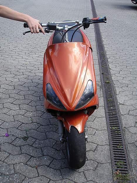 Benelli 491 / EvoNelli billede 7