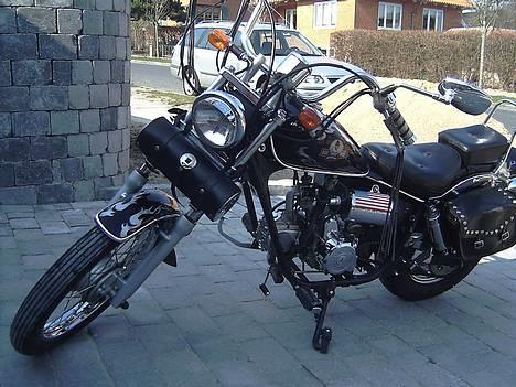 Regal Raptor SOLGT :'( Sindal - fed vinkel... :D billede 13