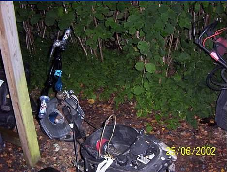 Aprilia "evo" sonic billede 3