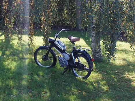 Puch MS 50 3 gear - Den er da flot. billede 20