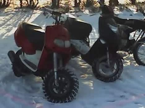 Aprilia Rally LC Ghost( solgt ) - sådan så den ud da jeg købte den her sidste vinter ik for køn... billede 11