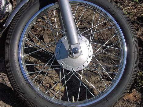 Regal Raptor  billede 8