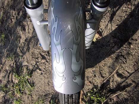 Regal Raptor  billede 9