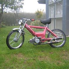 Puch Maxi Projekt "AndBissen"