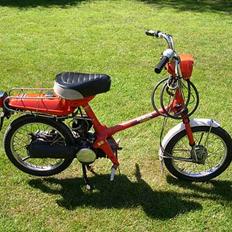 Honda Express (SOLGT)