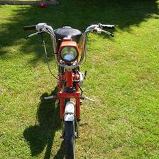 Honda Express (SOLGT)