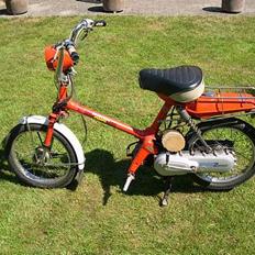 Honda Express (SOLGT)