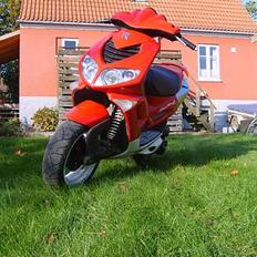 Peugeot speedfight 2/trafik offer