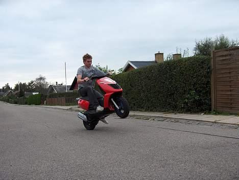Aprilia sonic billede 8