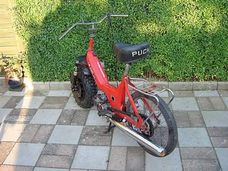 Puch pumaha SOLGT - Nyt billede.. projekt  billede 1