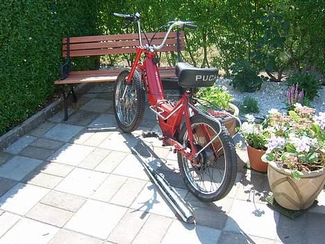 Puch pumaha SOLGT - Sommers  billede 3