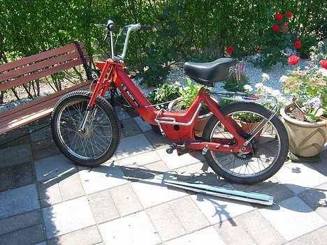 Puch pumaha SOLGT - sommers billede 4