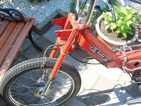 Puch pumaha SOLGT - sommers billede 5