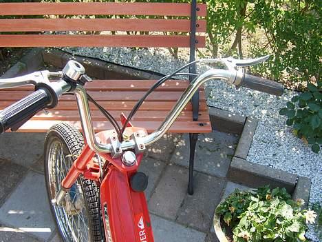 Puch pumaha SOLGT - sommers billede 6