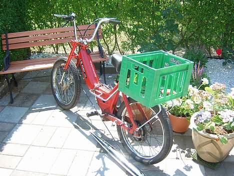 Puch pumaha SOLGT - sommers billede 7