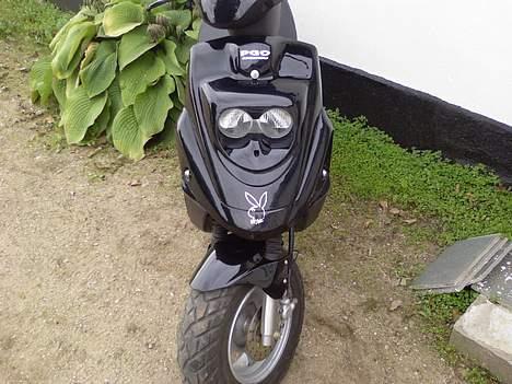 PGO Hot 50 solgt  - Hot 50 billede 6