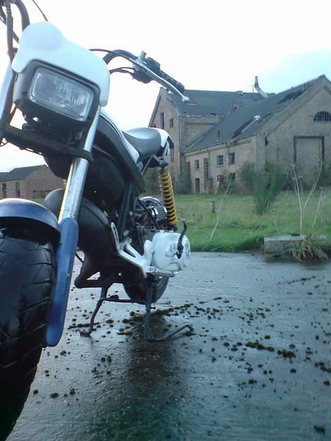 Suzuki street magic " Solgt" billede 6