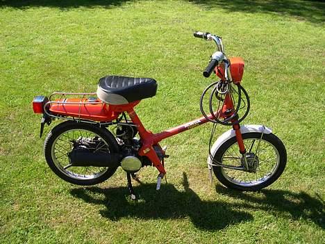 Honda Express (SOLGT) billede 1