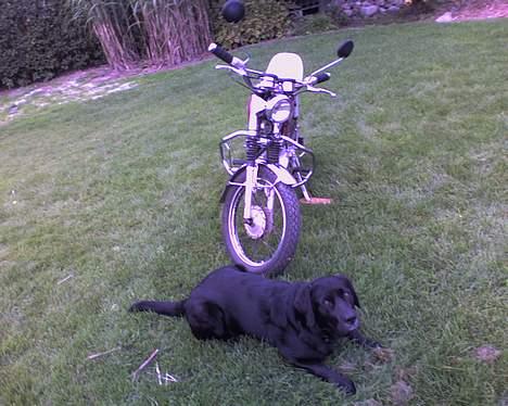 Yamaha 4 Gear billede 13