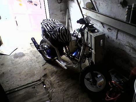 Aprilia *Sonic Malossi projekt* billede 8