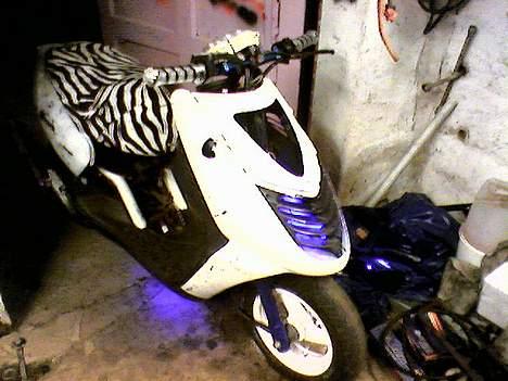 Aprilia *Sonic Malossi projekt* billede 9