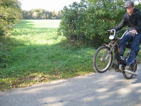 Puch maxi k Ruslands flotteste billede 14