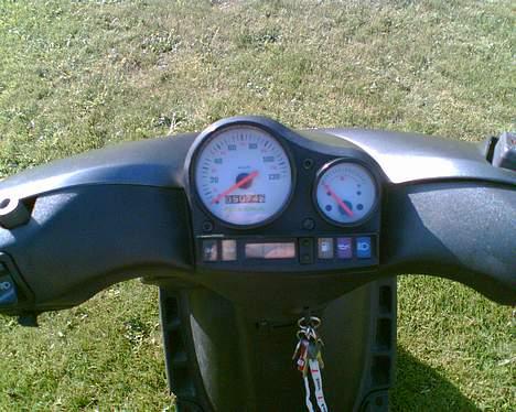 Gilera Stalker [Blevet hvid] billede 8