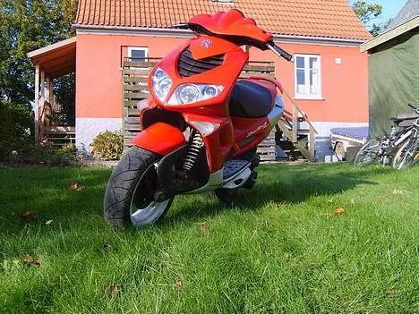 Peugeot speedfight 2/trafik offer billede 3