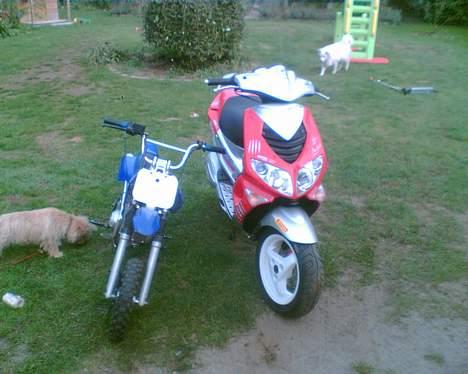 Honda CRF 50 R   (SOLGT) billede 6