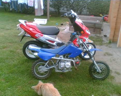 Honda CRF 50 R   (SOLGT) billede 7