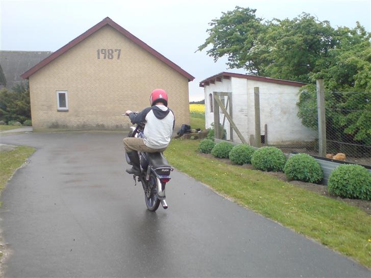 Puch Monza N-SSL Flagskib billede 11