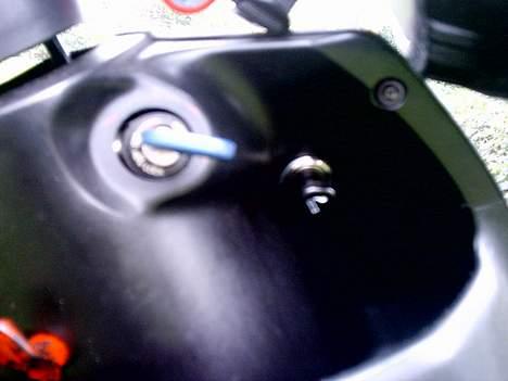 PGO Dr. Big - Farmor Miaken  billede 2