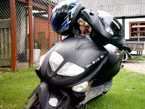 PGO Dr. Big - Farmor Miaken  billede 3