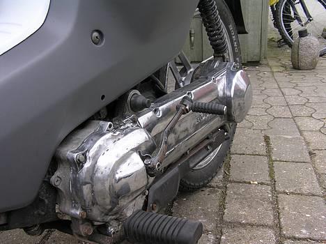 Honda Wallaroo  billede 4