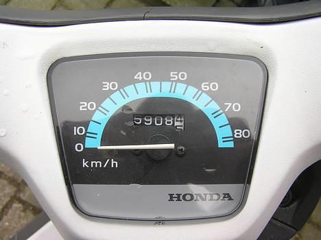 Honda Wallaroo  billede 6