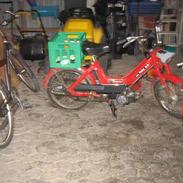 Puch maxi p 