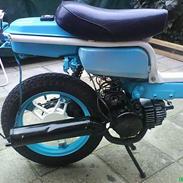 Suzuki fz 50 moped off darkness 