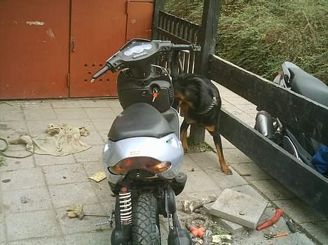 Aprilia sonic (solgt) billede 8