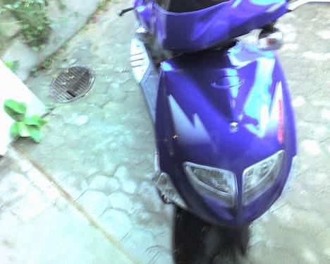 PGO Dr. Big. (solgt) billede 2