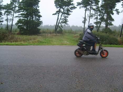 Honda sfx billede 10