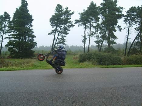 Honda sfx billede 11