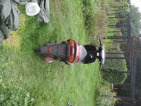 Suzuki address ap50 (Smidt ud) billede 3