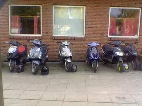 Aprilia SONIC  - racing-team-als kun 6 ikke engang halvdelen af oz vi er en 13 -14 stykker tror jeg  billede 14